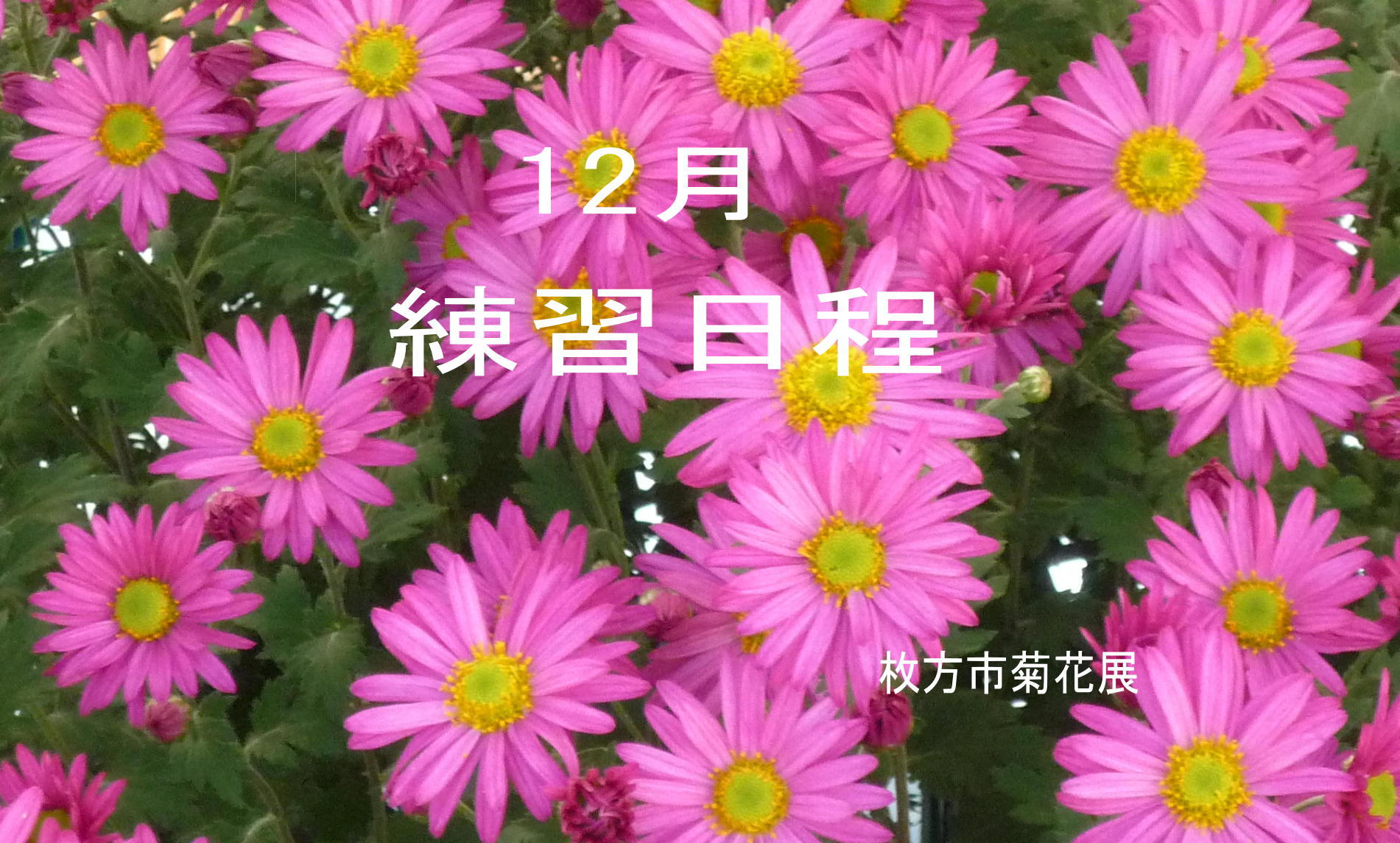 12月の練習・活動予定