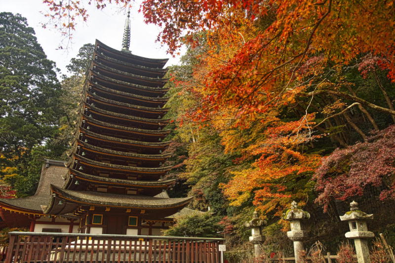 紅葉の談山神社スライド掲載
