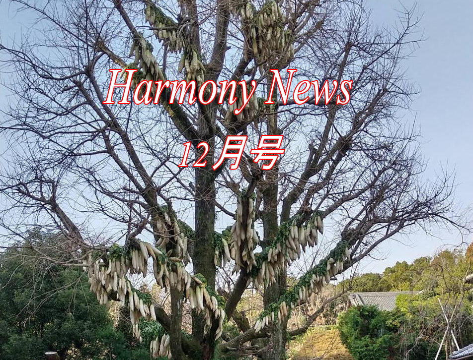 保護中: ハーモニーニュース　12月号