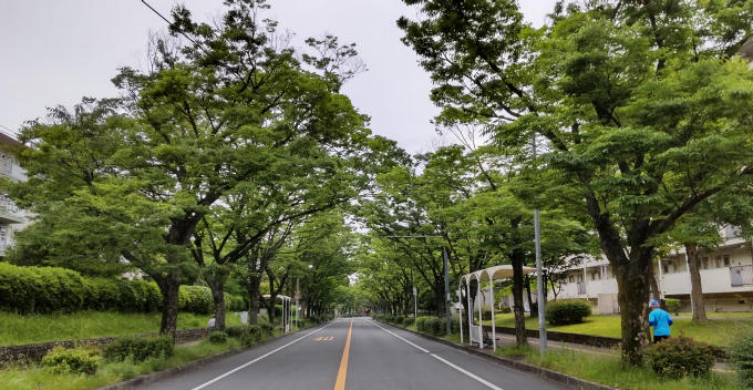 6月の練習予定